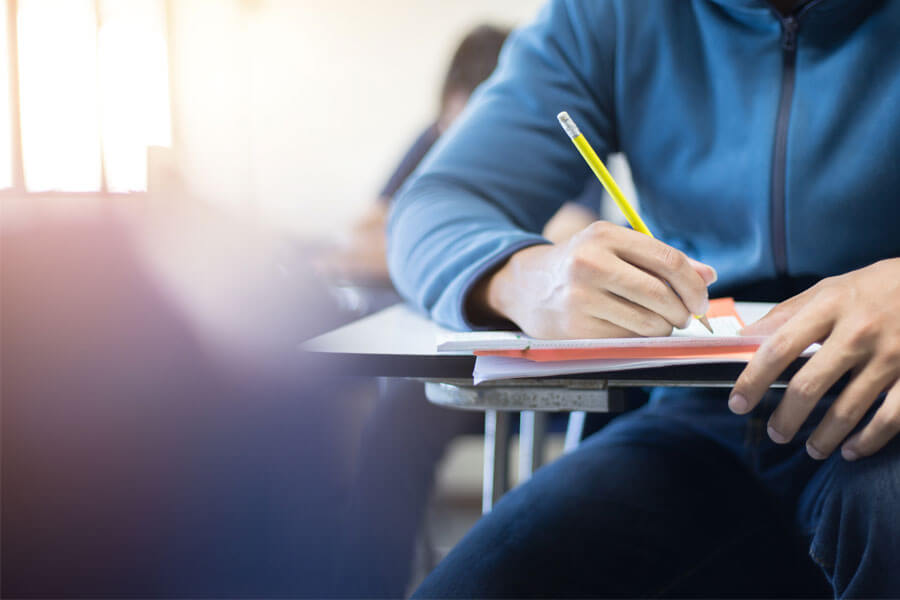 Commercial Shades for Schools: A Guide to the Best Options