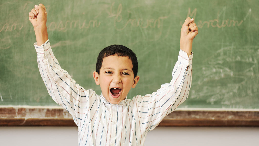 Hideaway Helper Lockdown Shade Giveaway 2018 School Safety Solution